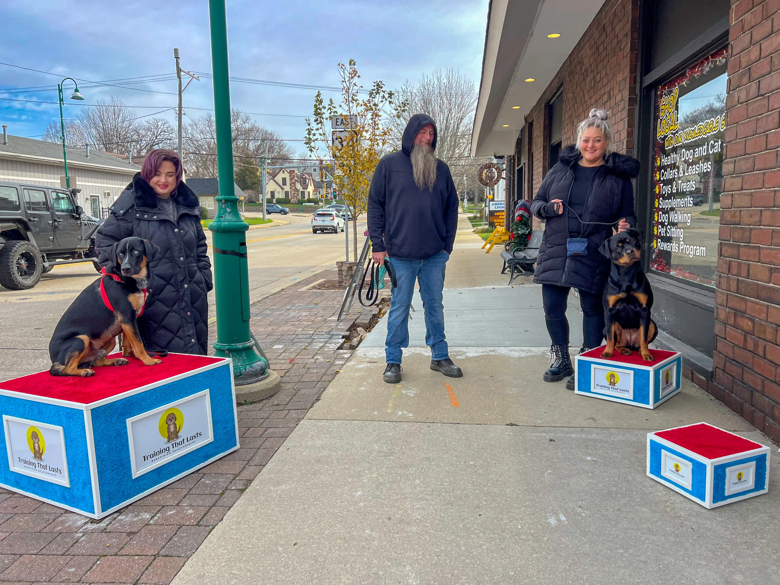 A Group Of People Standing On Boxes With Dogs