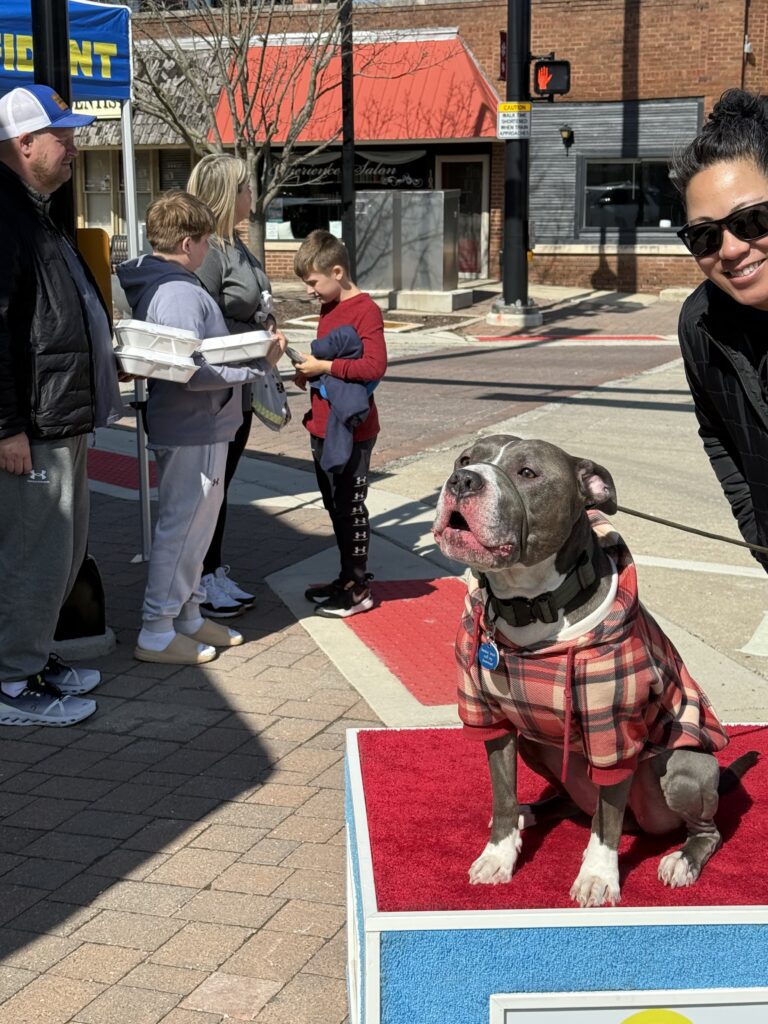 Kim With Mushu, The Lovable Pitbull, Sitting On A Dog Training Box