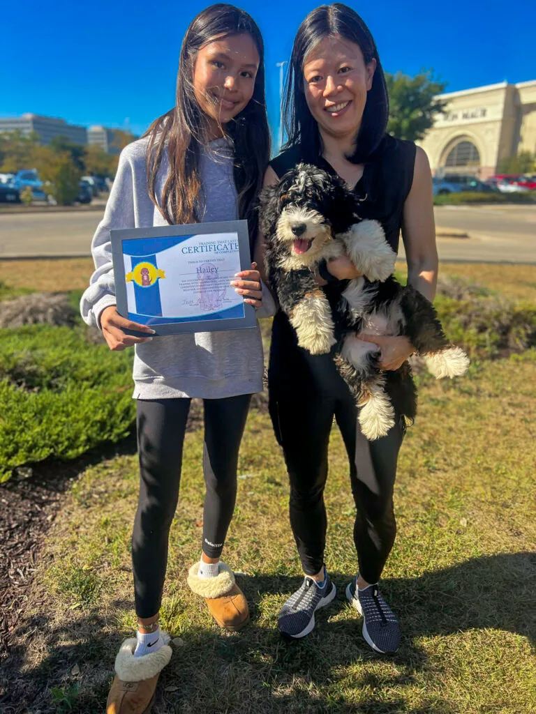 A Bernedoodle Being Held By Two Happy Owners Outdoors, Proudly Displaying Its Board And Train Certificate