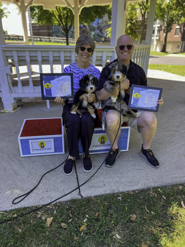 Bernedoodles sitting calmly with its owners on a box, holding their board and train graduation certificate