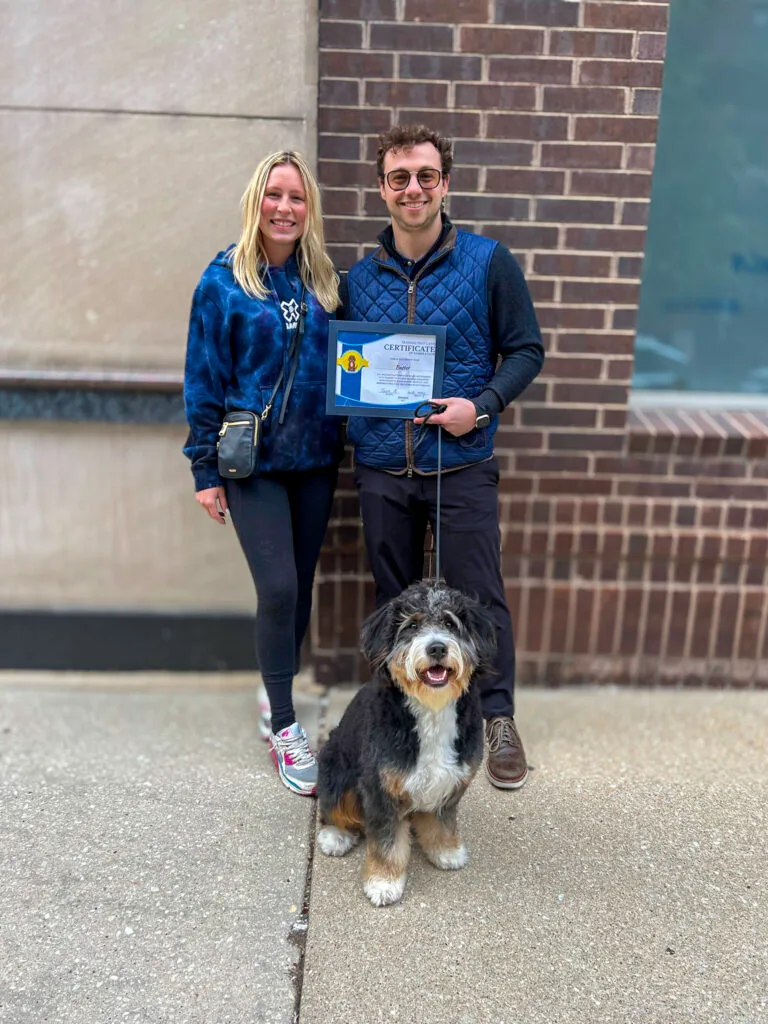 A Bernedoodle Standing Next To Its Owner Outside A Building, Showcasing Their Board And Train Program Certificate