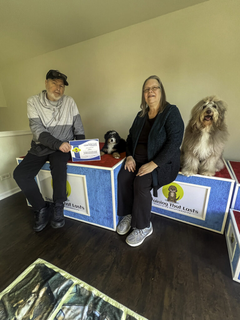 A Bernedoodle sitting on a platform indoors between two trainers holding its board and train program graduation certificate.