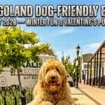Chicagoland dog friendly events posted every month with training that lasts.