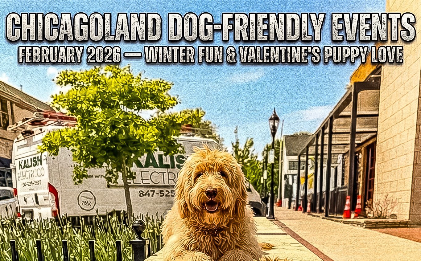 Chicagoland Dog Friendly Events Posted Every Month With Training That Lasts.