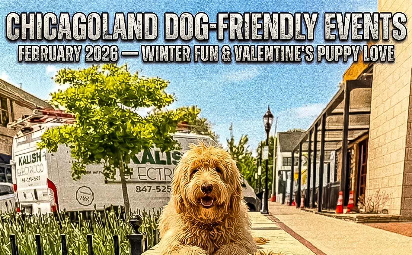 Chicagoland Dog Friendly Events Posted Every Month With Training That Lasts.