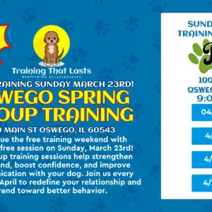 Oswego Group Dog Training Event