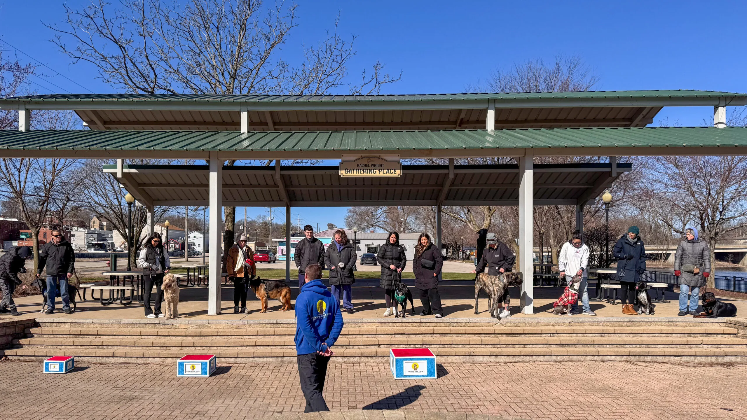 Group Dog Training For Socializing Your Dog.