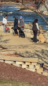 Yorkville Group Training | Fox Republic | April 25Th, 2026 | Professional Dog Training | Training That Lasts