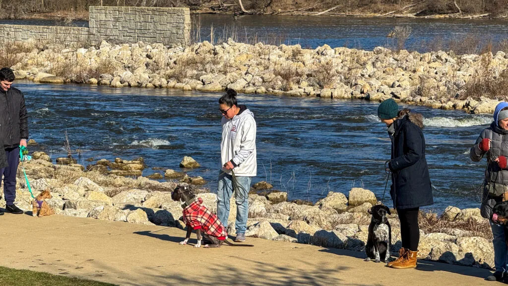 Group Training At Bicentennial Riverfront Park Where Dogs And Handlers Are Training On The Path.