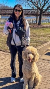 Yorkville Group Training | Fox Republic | April 25Th, 2026 | Professional Dog Training | Training That Lasts