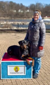 Yorkville Group Training | Fox Republic | April 25Th, 2026 | Professional Dog Training | Training That Lasts