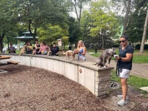 The Last Group Training Of 2025 - Training That Lasts The Last Group Training Of 2025 Group Dog Training, Local Events, Oswego Group Training