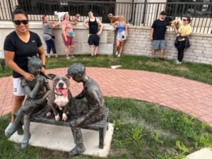 The Last Group Training Of 2025 - Training That Lasts The Last Group Training Of 2025 Group Dog Training, Local Events, Oswego Group Training