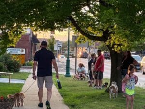 The Last Group Training Of 2025 - Training That Lasts The Last Group Training Of 2025 Group Dog Training, Local Events, Oswego Group Training