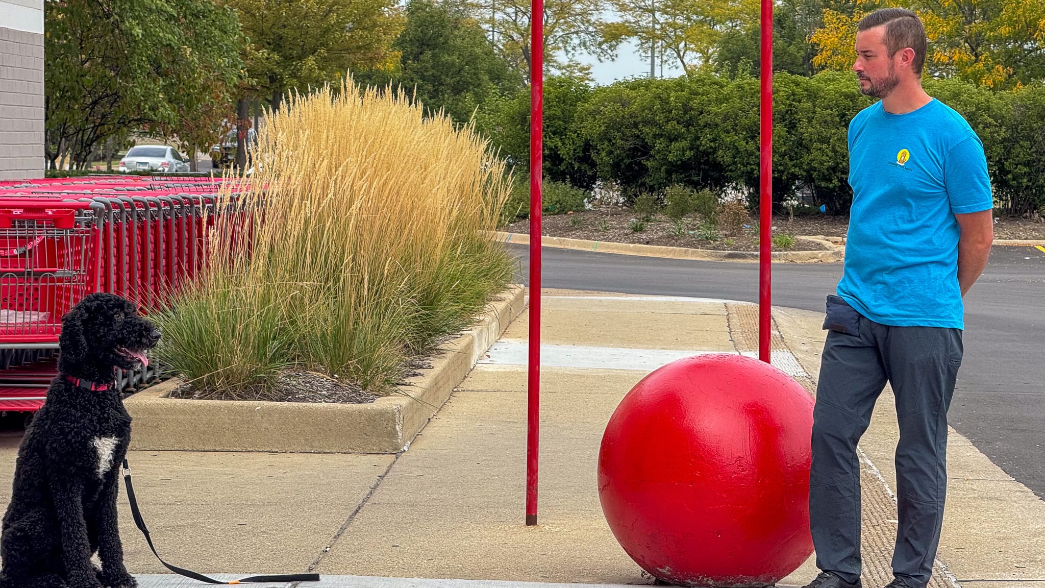 Training That Lasts One-On-One Training Dog Friendly Events