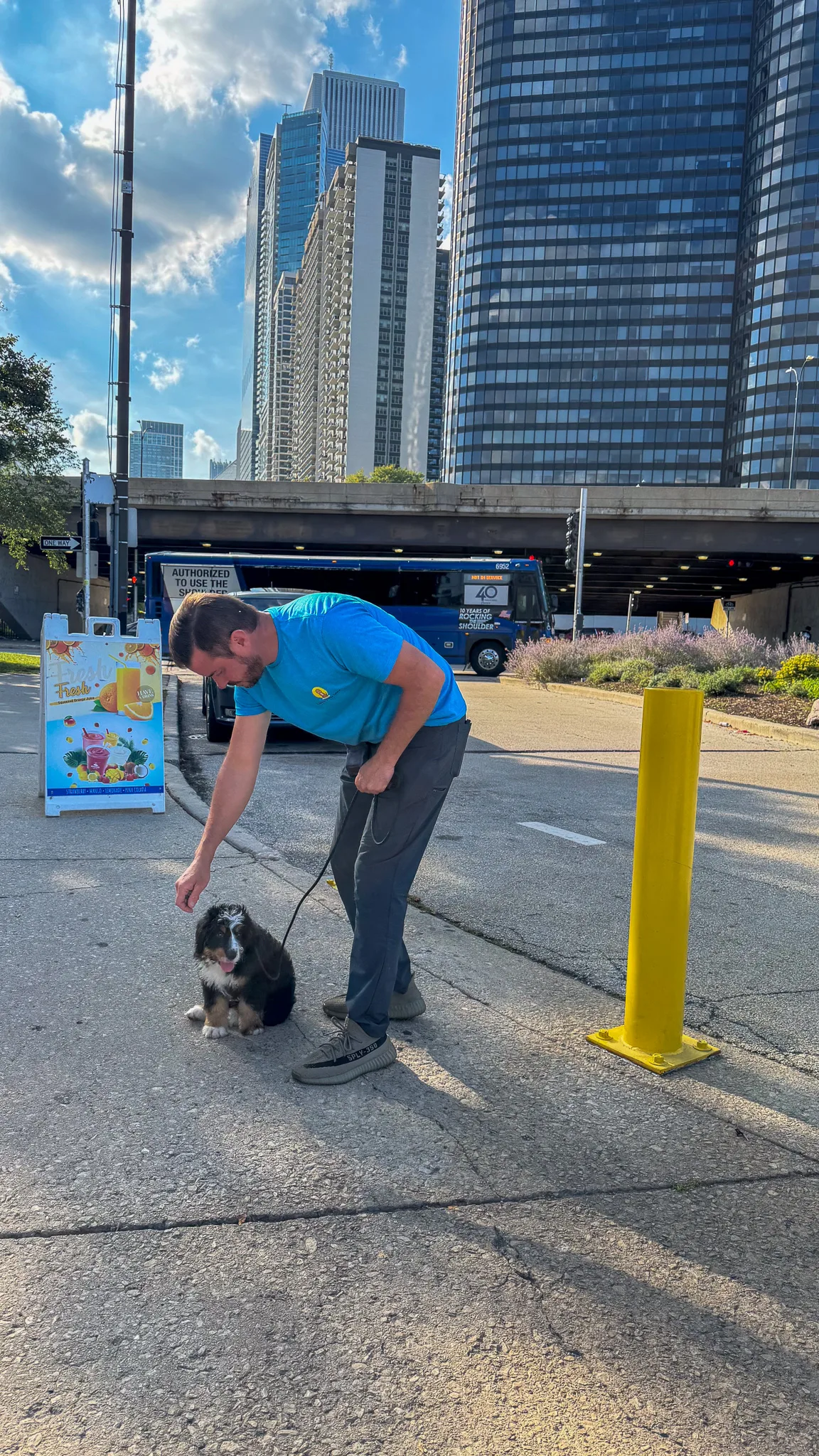 One-On-One Training | Professional Dog Training | Training That Lasts