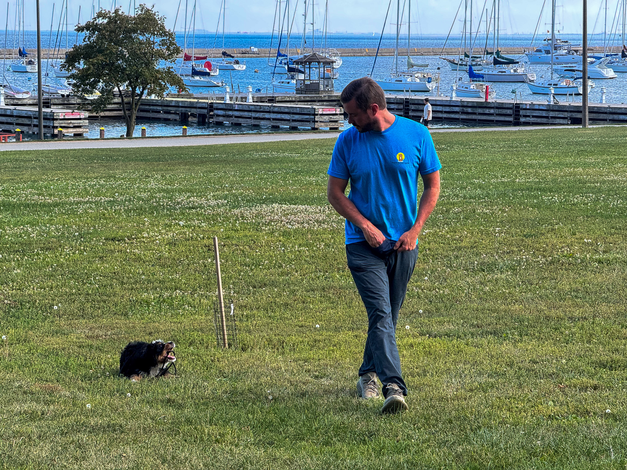 Training That Lasts The Complete Guide To Potty Training Your Puppy Everything You Need To Know Potty Training, Puppy Training