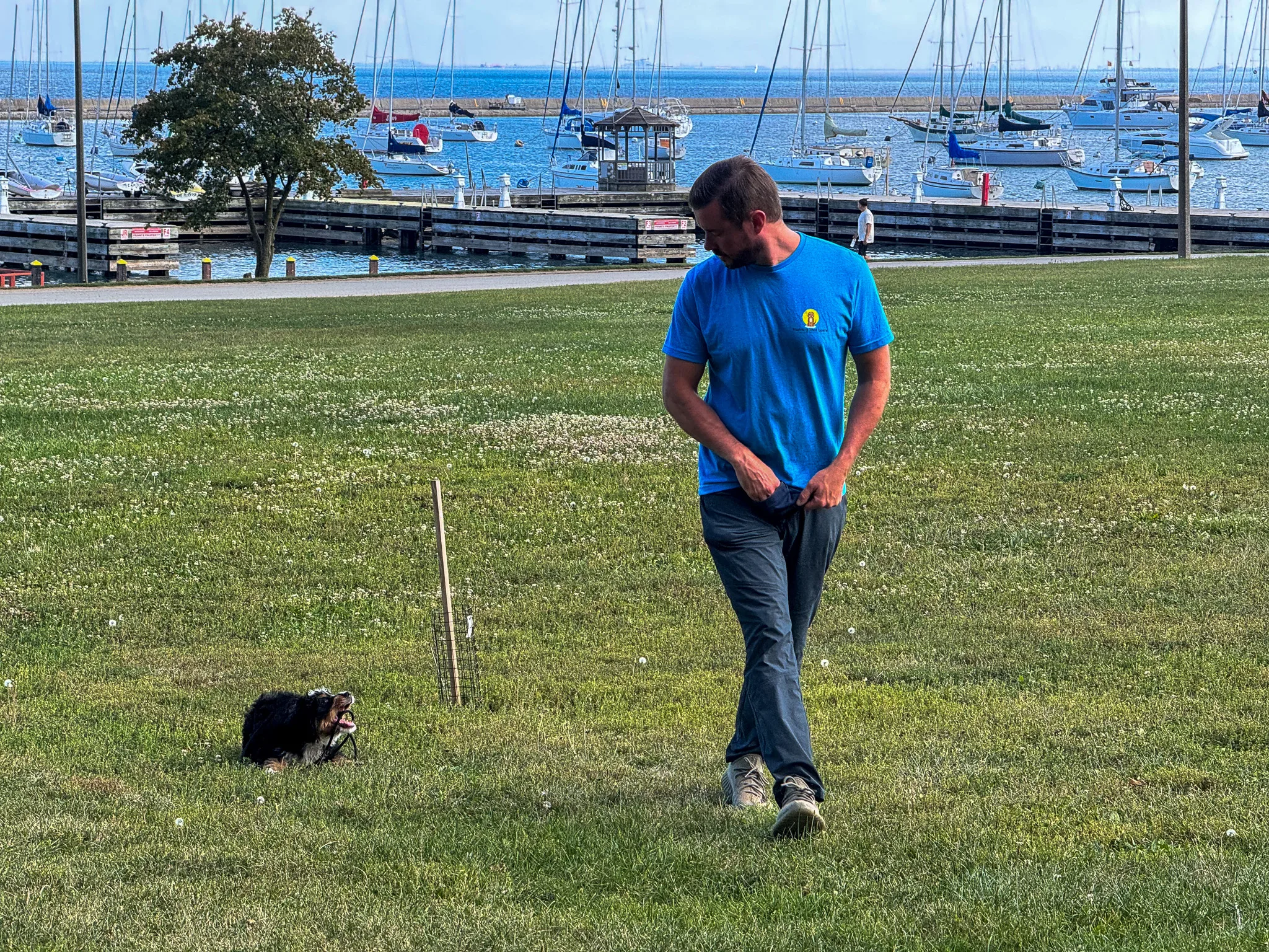 The Complete Guide To Potty Training Your Puppy Everything You Need To Know