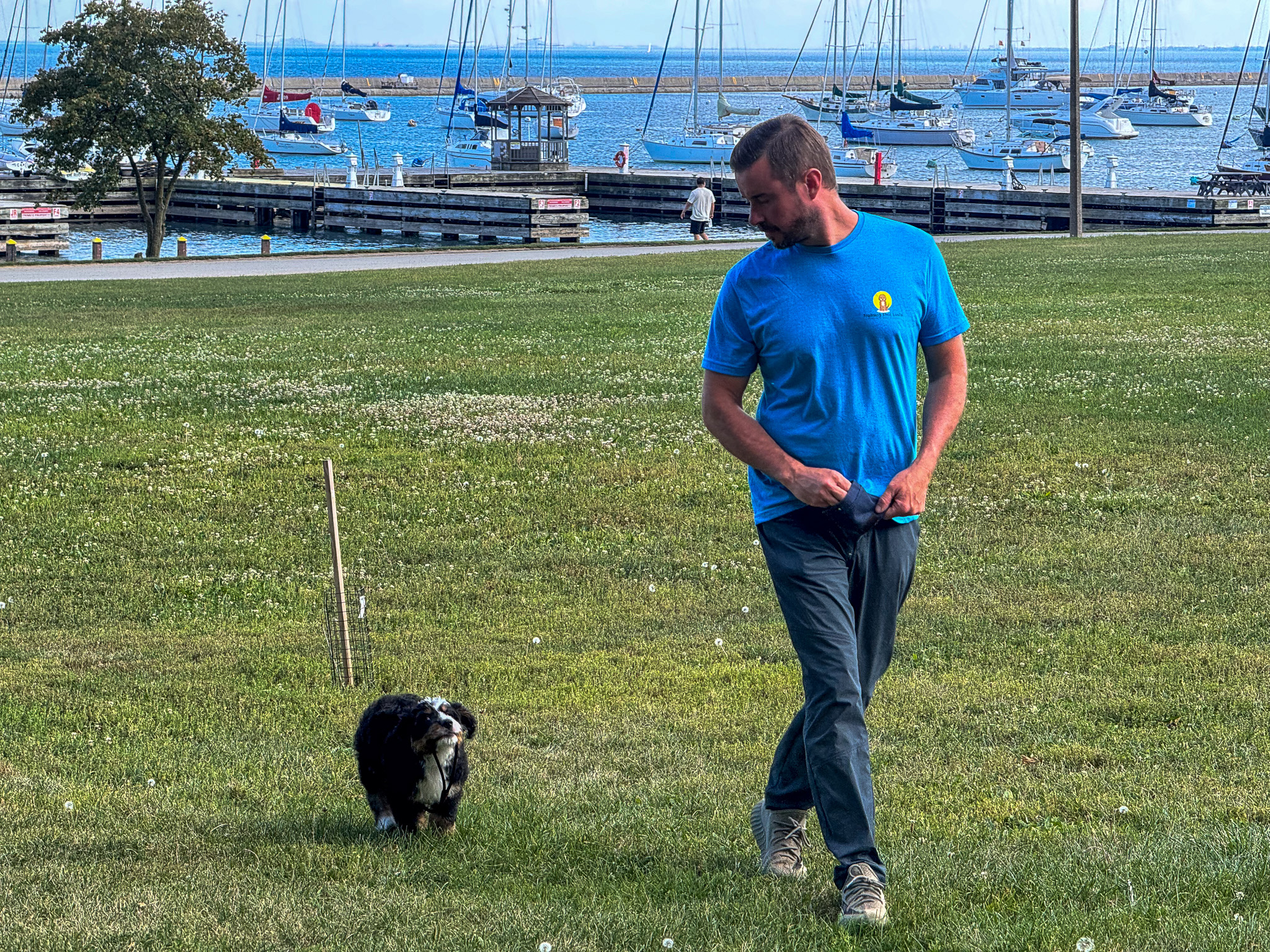One On One Training In Chicago By The Lake Front With Willow Doing A Smell Test Exercise.