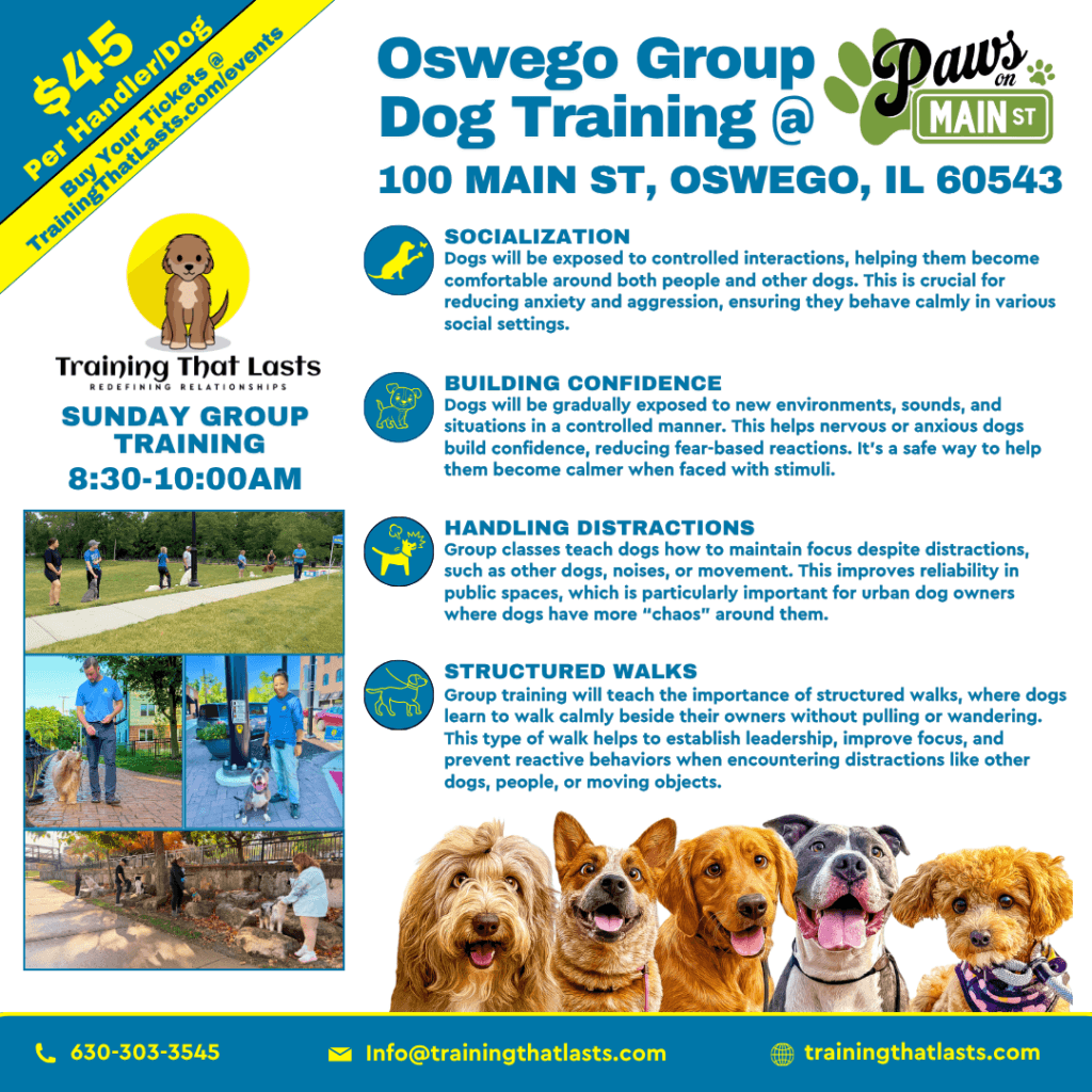 Oswego Group Training October 25Th - Training That Lasts Dog Training Https://Trainingthatlasts.com/Wp-Content/Uploads/Oswego-Group-Training-E1785996247993.Png