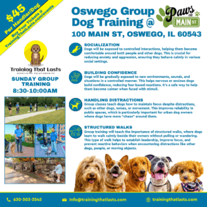 Https://Trainingthatlasts.com/Wp-Content/Uploads/Oswego-Group-Training-E1785996247993.Png
