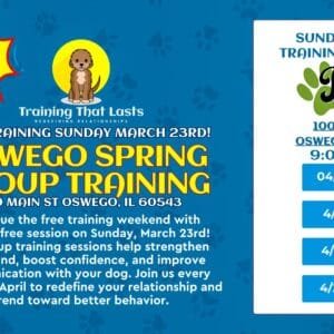 Oswego Group Dog Training Event