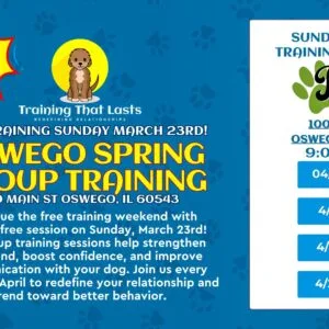 Oswego Group Dog Training Event