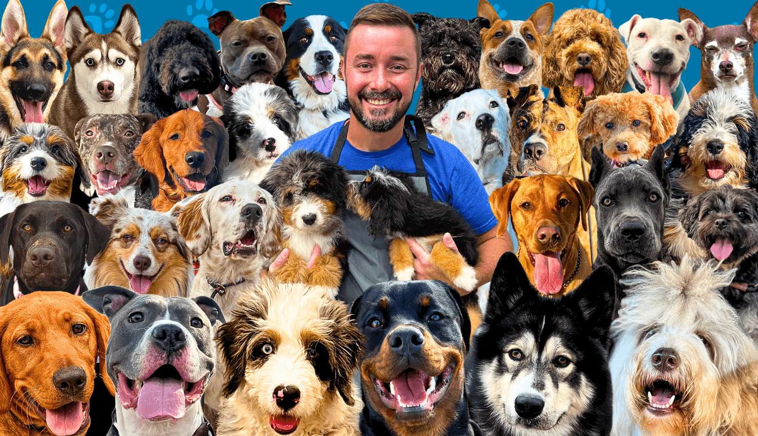 Training That Lasts - Proud Oswego Community Supporter