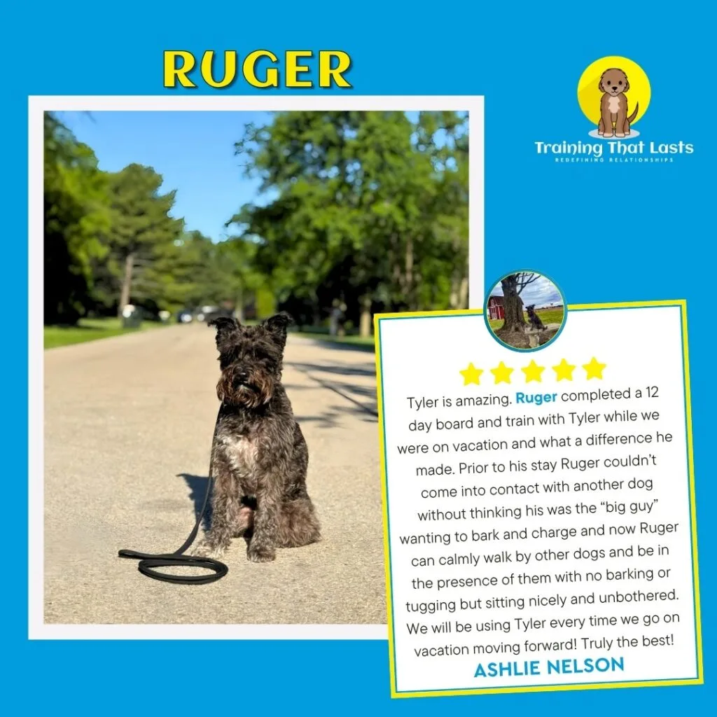 Testimonials | Professional Dog Training | Training That Lasts