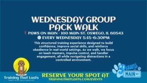 Wednesday Group Pack Walks