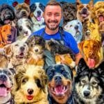 Training That Lasts multiple Dogs who have been trained by Tyler The Trainer