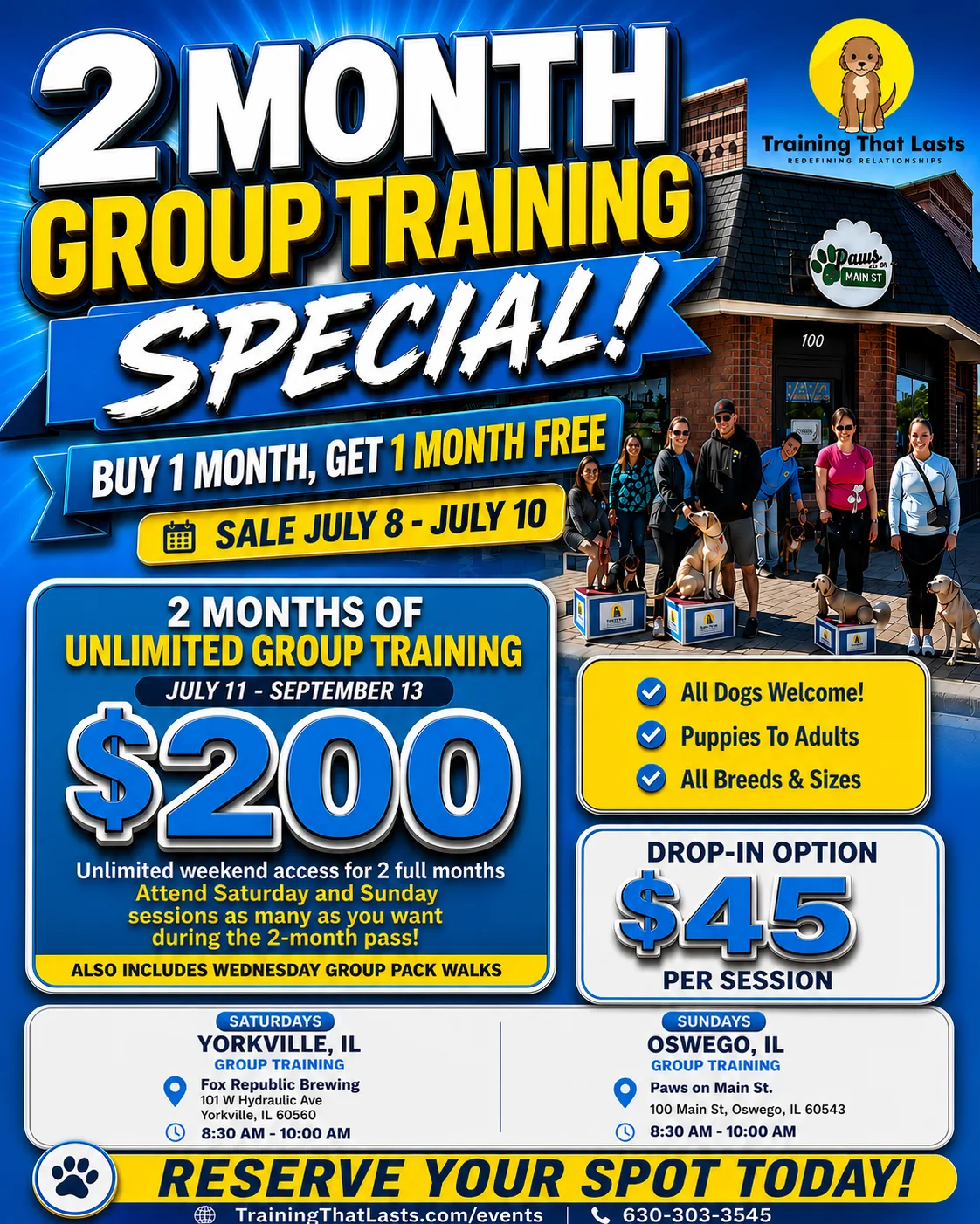Training That Lasts Group Dog Training Class
