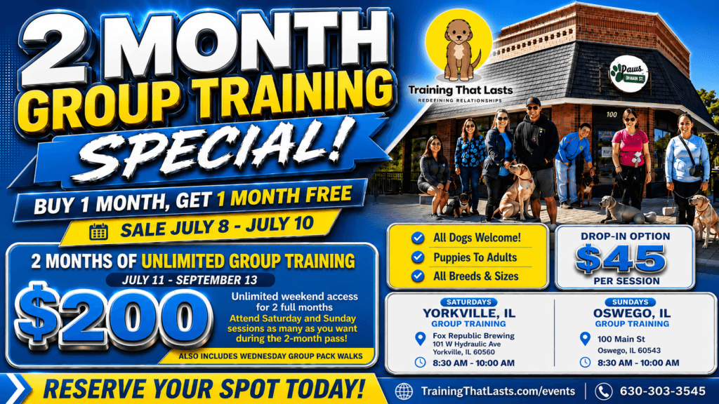 Oswego Group Training | Paws On Main | July 12Th, 2026 - Training That Lasts Dog Training 2 Months Of Unlimited Group Training On Saturdays And Sundays In Yorkjville And Oswego Through Training That Lasts.