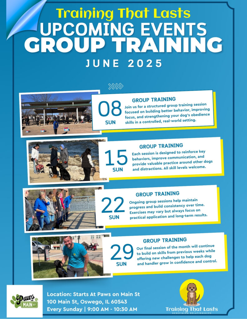 Training That Lasts June Group Training Yorkville Group Training | Fox Republic | June 7Th, 2025