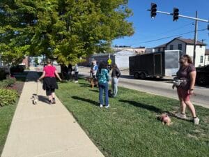 The Last Group Training Of 2025 - Training That Lasts The Last Group Training Of 2025 Group Dog Training, Local Events, Oswego Group Training