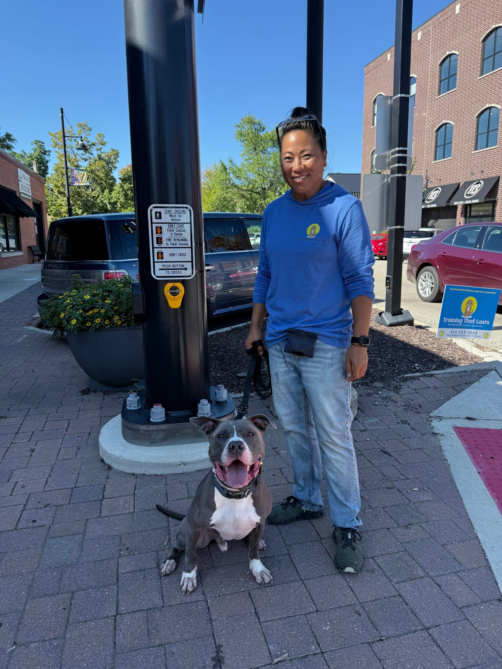 Training That Lasts Rescue Partnership Program Dog Friendly Events