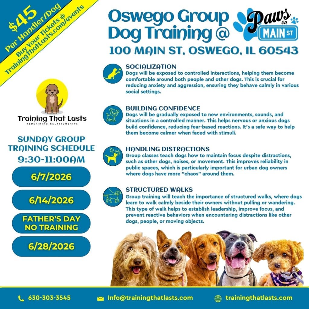 Oswego Group Training Event With Tyler The Trainer At Paws On Main St. In Downtown Oswego.