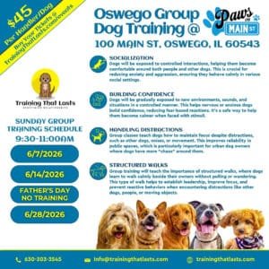 Oswego Group Training Event With Tyler The Trainer At Paws On Main St. In Downtown Oswego.