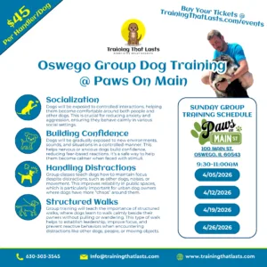 Oswego Group Training Event With Tyler The Trainer At Paws On Main St.