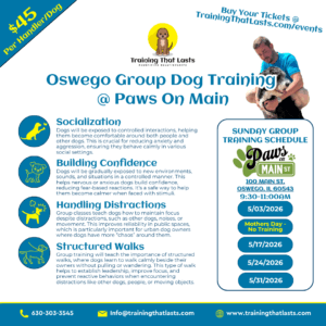 Group Dog Training Events At Paws On Main In Oswego Illinois Hosted By Training That Lasts