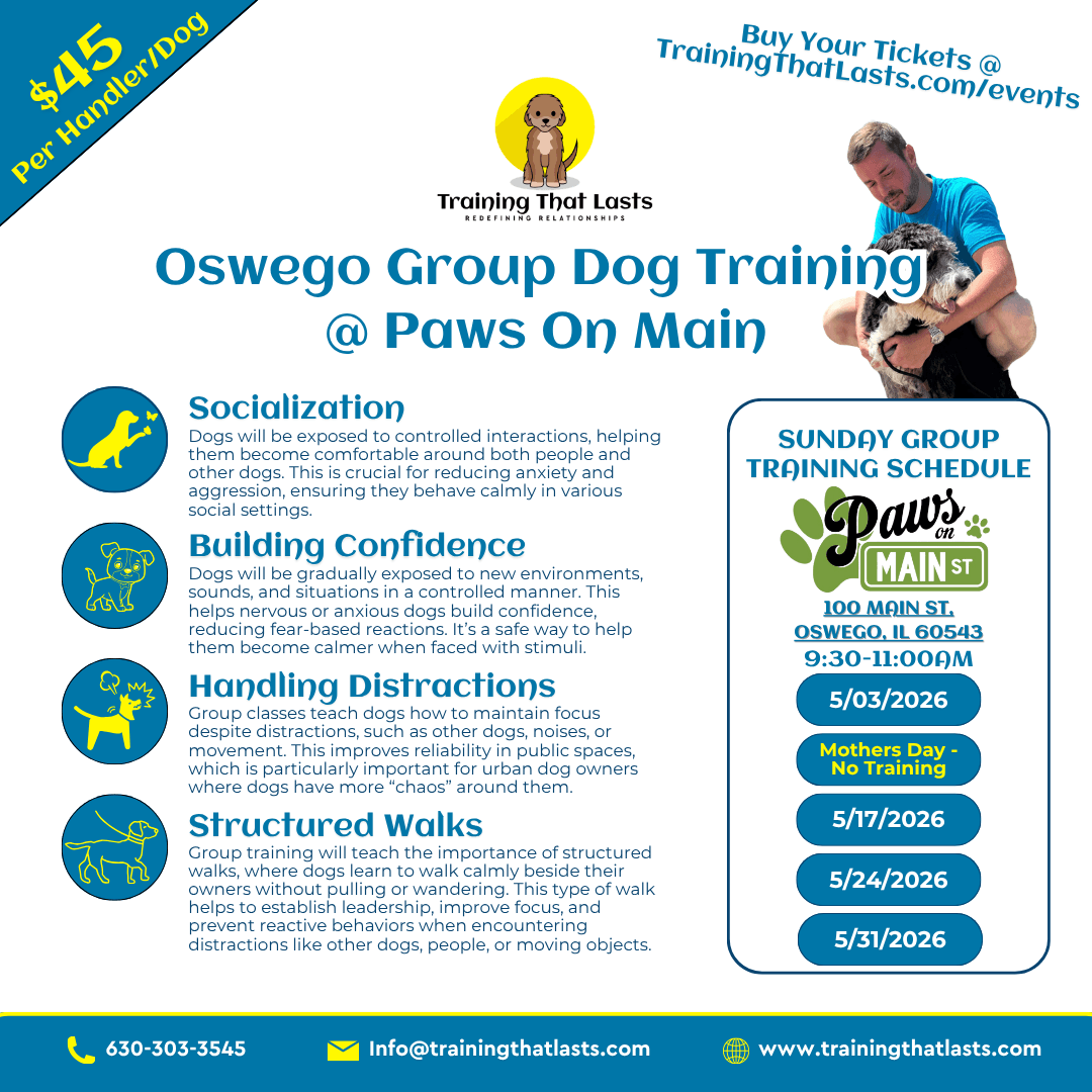 Group Dog Training Events At Paws On Main In Oswego Illinois Hosted By Training That Lasts