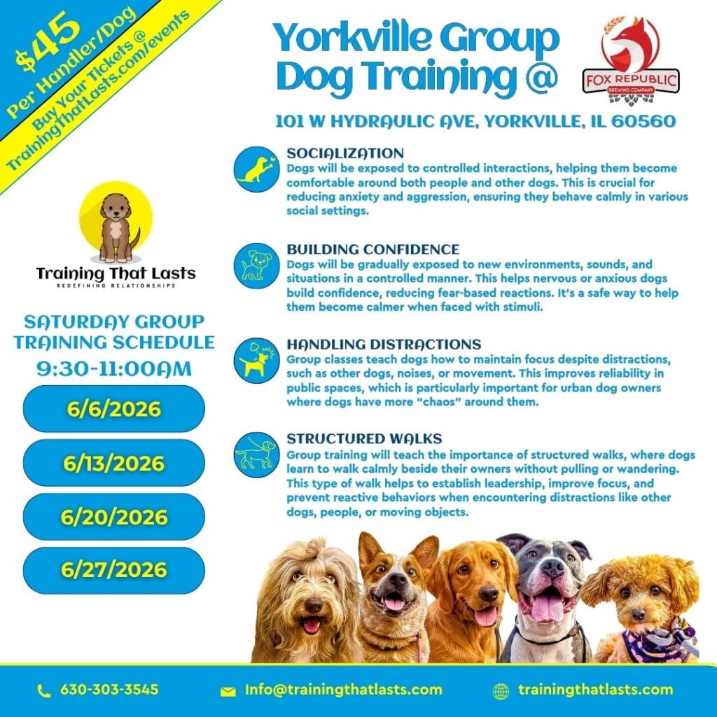 Yorkville Group Training | Fox Republic | June 6Th, 2026 | Professional Dog Training | Training That Lasts