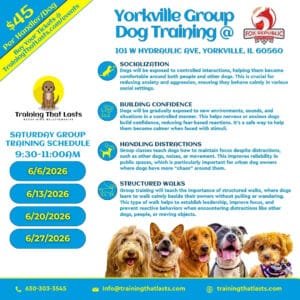 Training That Lasts – Yorkville Group Training (1)