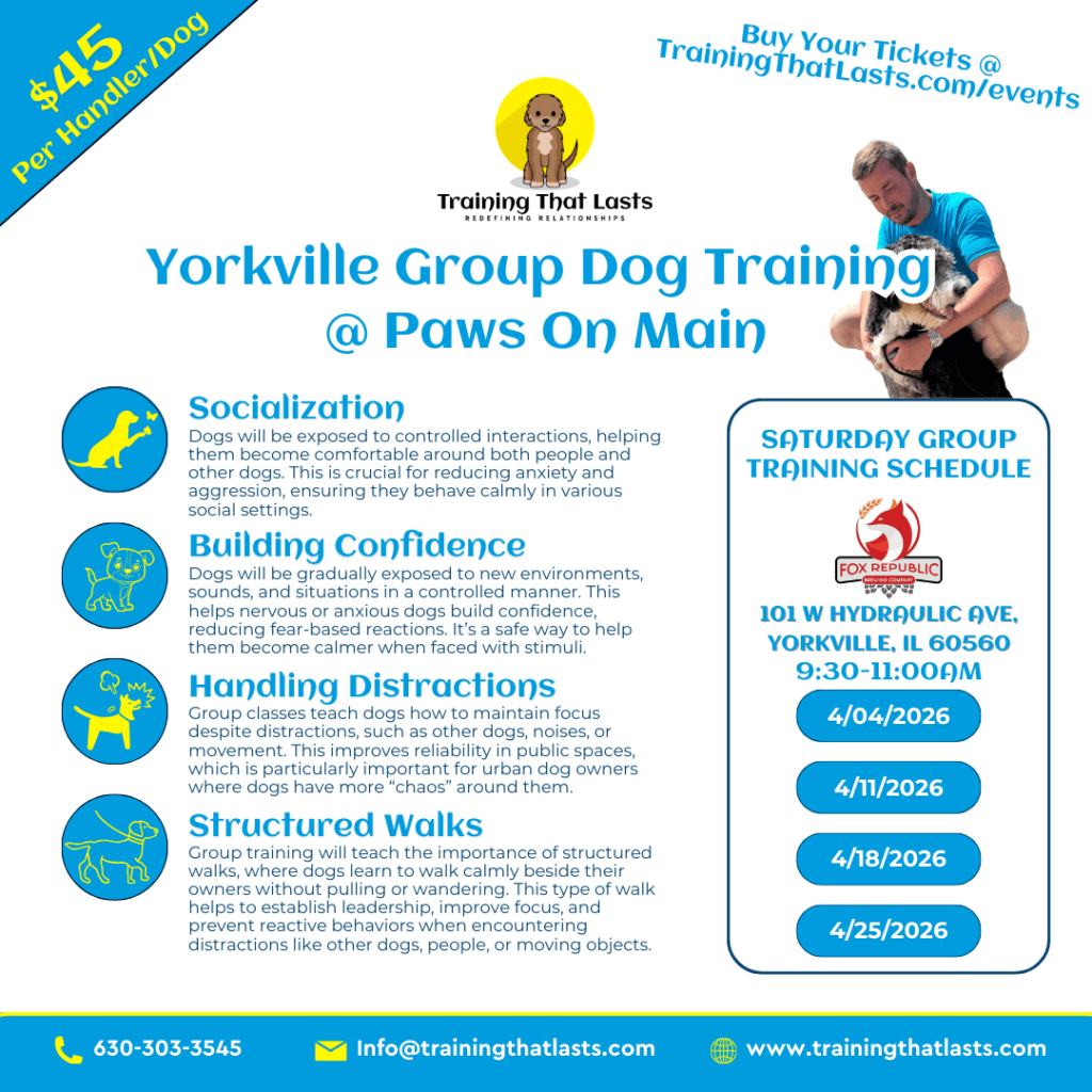 Yorkville Group Training | Fox Republic | April 4Th, 2026 | Professional Dog Training | Training That Lasts