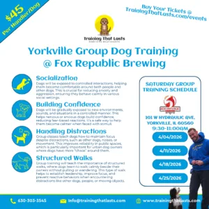 Yorkville Group Dog Training Event Held By Training That Lasts And Tyler The Trainer.