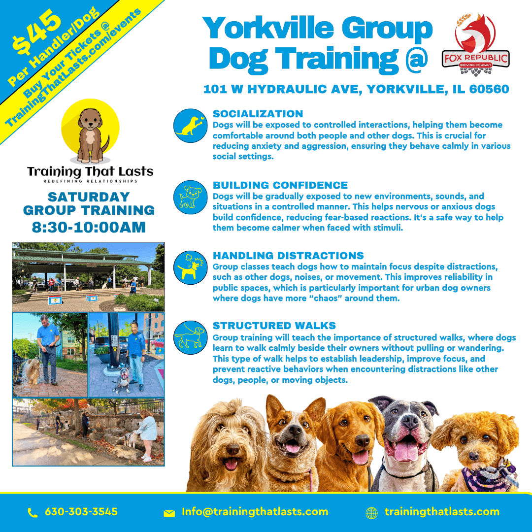 Yorkville Group Training with Trainiing That Lasts