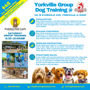 Yorkville-Group-Training-Event
