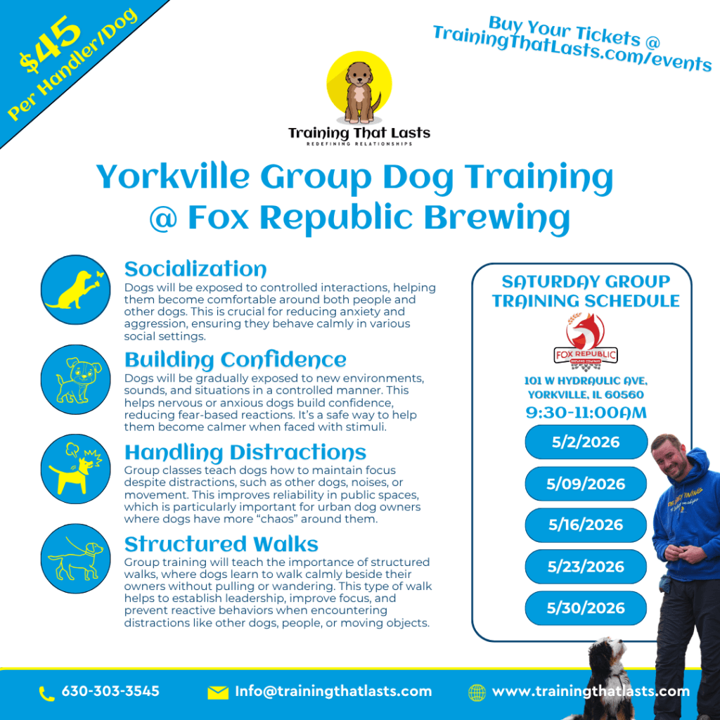 Yorkville Group Dog Training Hosted At Fox Republic Brewing By Training That Lasts