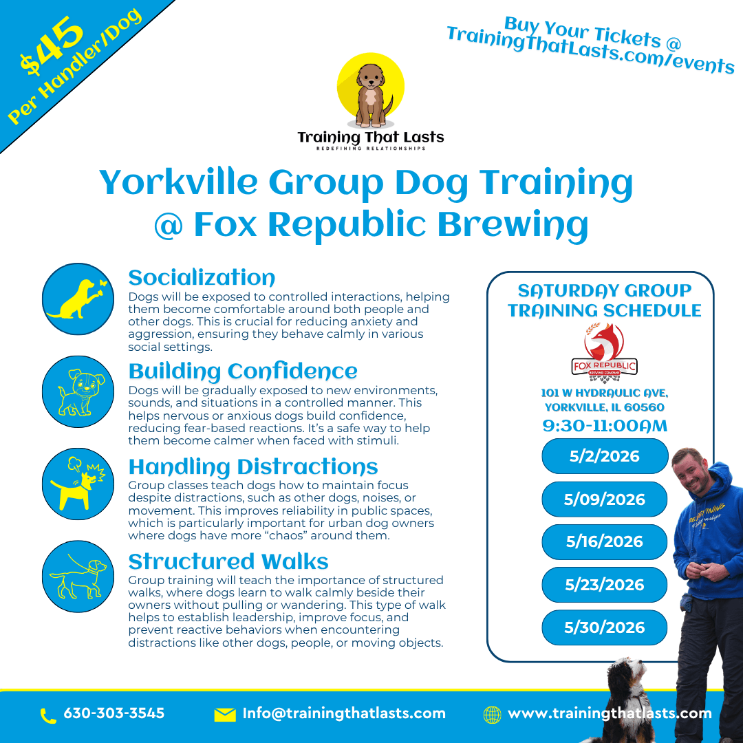 Yorkville Group Dog Training Hosted At Fox Republic Brewing By Training That Lasts
