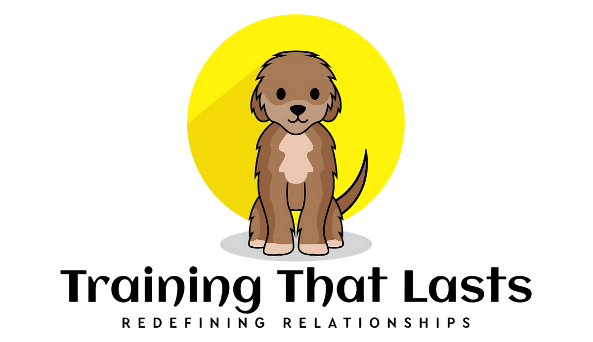 Training That Lasts - Redefining Relationships